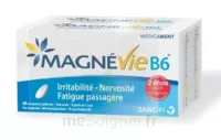 Magnevie B6 100 Mg/10 Mg Comprimés Pelliculés 2plq/60 (120) à Poitiers