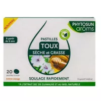 Phytosun Aroms Pastilles Toux B/20 à Poitiers